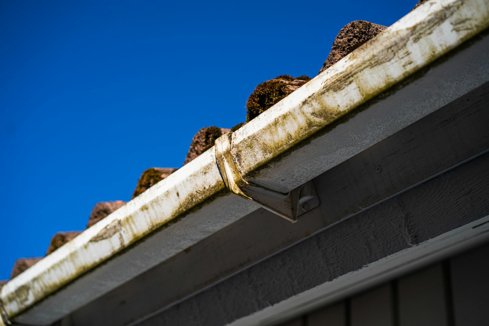 Aging sectional gutter with a grimy seam joint and moss buildup along a tile roofline